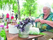 Налог есть, льгот нет. Выгоду от статуса «самозанятый» обсуждают в Ростове