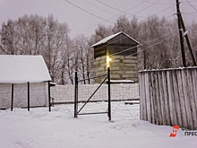 В Псковской области ликвидируют исправительную колонию: сроки и причины