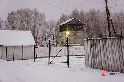 В Псковской области ликвидируют исправительную колонию: сроки и причины