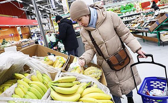 Ретейлеры изучают различные страны для импорта бананов в Россию