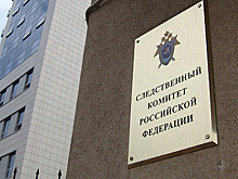 СК выявил новый эпизод мошенничества в деле члена ОНК Москвы Набиуллина