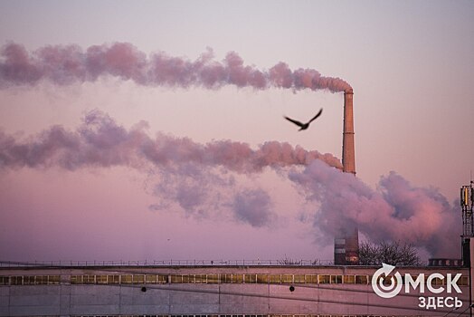 На ряд промпредприятий Омска заведут уголовные дела за грязный воздух