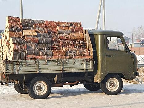 Депутат Госдумы потребовал отменить «шоковое» подорожание дров в Забайкалье