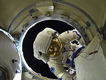 Космонавтов хотят отправлять в длительные полеты без селезенок. Почему это правильно?