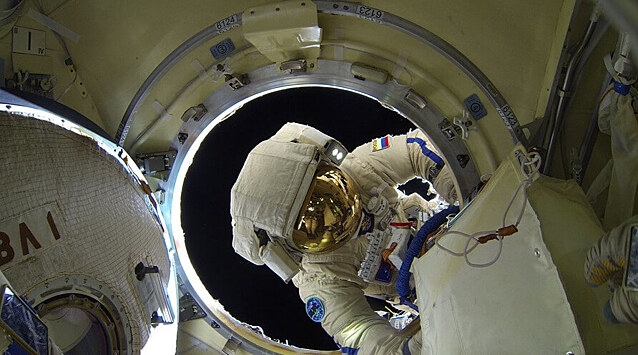 Космонавтов хотят отправлять в длительные полеты без селезенок. Почему это правильно?