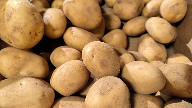 Какой картофель полезнее