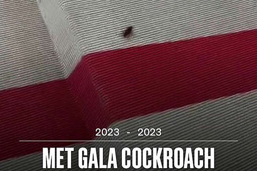 На ковровой дорожке Met Gala погиб таракан