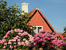 Налог на надувной бассейн. Как избежать тройного «побора» за дачные постройки?