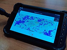 Минлесхоз Нижегородской области запустил мобильное приложение системы «Цифровой лес»