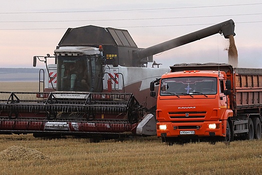 Глава Минсельхоза: Экспорт российской агропродукции с 2000 года вырос в 30 раз