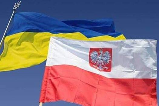 Поляки заставили украинца съесть бандеровский флажок, стоя на коленях