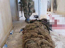 Опубликованы кадры уничтожения террористов в Сирии