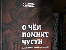 Книгу «О чем помнит чугун. Самые теплые российские батареи» представят в РИАМО в среду