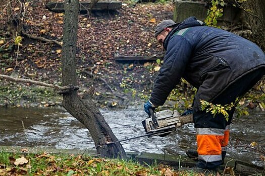 Власти не нашли подрядчика для расчистки русла Литовского ручья в Калининграде