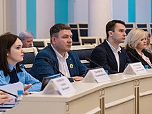 Представители фракций в Рязанской облдуме прокомментировали областной бюджет
