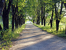 В Отрадном выберут пространство для благоустройства
