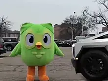 Логотип Duolingo сбил «насмерть» Tesla Cybertruck