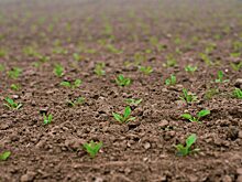 Аграрии Башкортостана планируют закупить 210 тыс. тонн минеральных удобрений