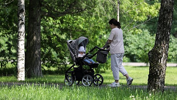 ПФР сделал заявление по детским выплатам