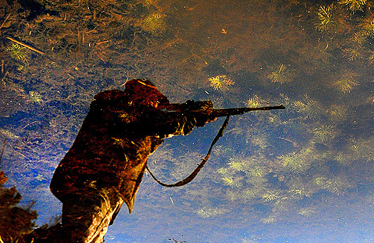 Житель Подмосковья сбил украинский беспилотник из обычного ружья