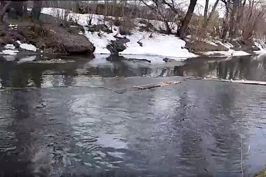 В Новосибирске зафиксировали повышение уровня воды в реке Тула