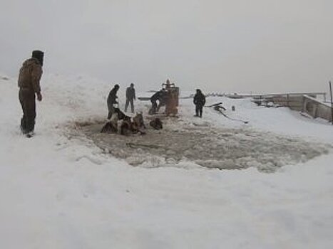 В Башкирии табун лошадей провалился под лед (ВИДЕО)