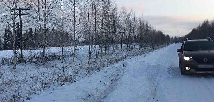 Пожилого пешехода насмерть сбили в Удмуртии