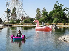 В Волгограде в ЦПКиО открывают пруд с розовым фламинго и лодками