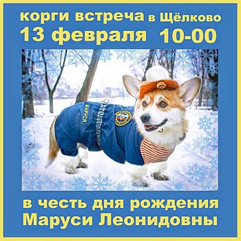 Корги-полицейский Рыжий встретится с корги-спасателем Марусей из Московской области