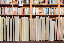 Мариупольский библиотекарь рассказала о поступающих книгах с героизацией Бандеры