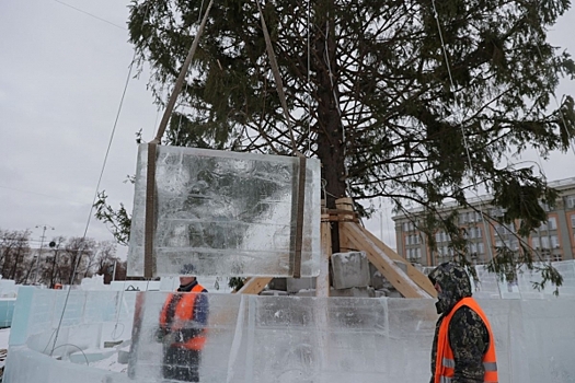 Власти челябинского Миньяра спилили елку с садового участка без согласия владельца