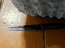 Житель Хакасии изрезал ножом отказавшую ему в ласке женщину и ее ребенка