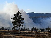 Дым от лесных пожаров накрыл Сибирь