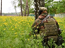 «Военное положение и оружие дружинам»: Власти спорят о защите приграничных территорий