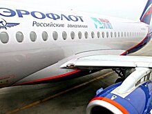 Гендиректор "Аэрофлота" выступил за приватизацию авиакомпании