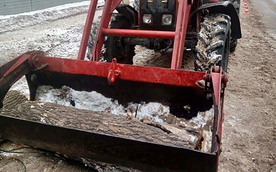 На улице Шевченко в Рязани снесли аварийное дерево