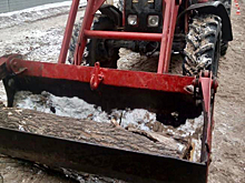 На улице Шевченко в Рязани снесли аварийное дерево