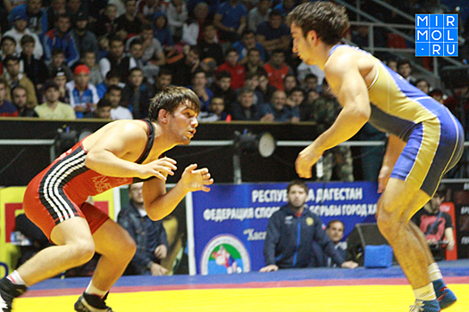 Юношеская сборная Дагестана по вольной борьбе – лучшая на первенстве России в Хасавюрте