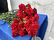 Мемориальную доску герою СВО установят на школе №184 в Нижнем Новгороде