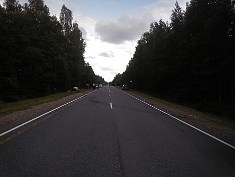 Стали известны подробности смертельного ДТП, в котором погибла женщина и пострадали двое подростков