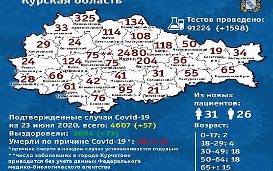 Железногорск обогнал Курск по суточному приросту больных COVID-19