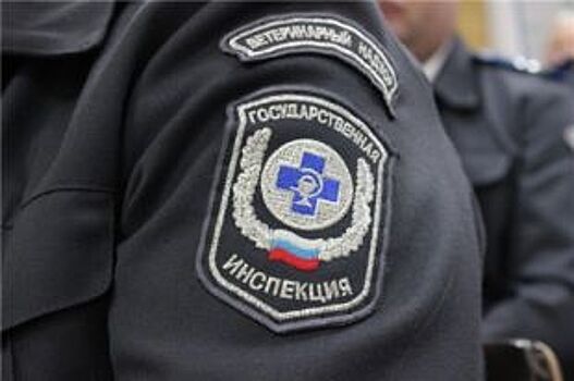 Перевозку 2500 кг рыбы неизвестного происхождения пресекли на Дону