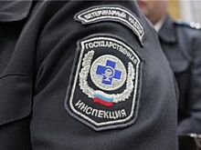 Перевозку 2500 кг рыбы неизвестного происхождения пресекли на Дону