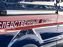 Установлен подозреваемый в смертельном отравлении животных в российском зоопарке