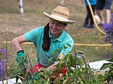 Челябинские дачники остались без польских роз и можжевельника: чем заменят