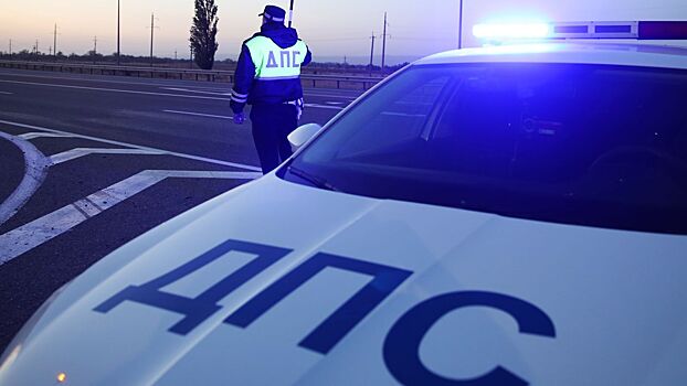 В Подмосковье сотрудники ГАИ раздают алкотестеры