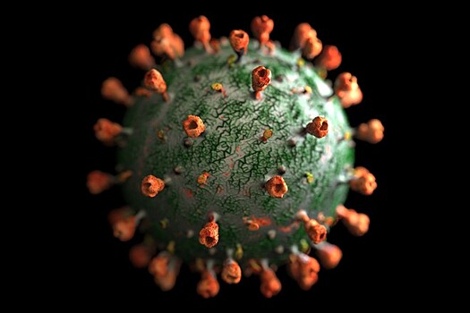 Инфекционист назвал главную цель коронавируса