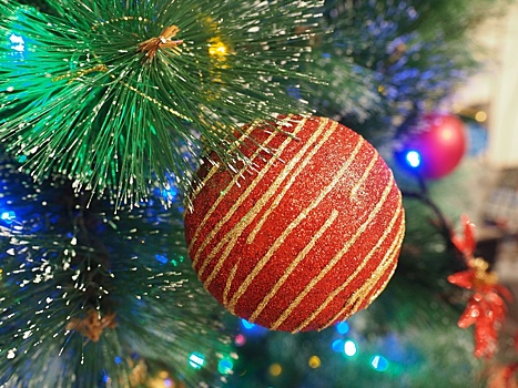 В Москве установят первые новогодние елки