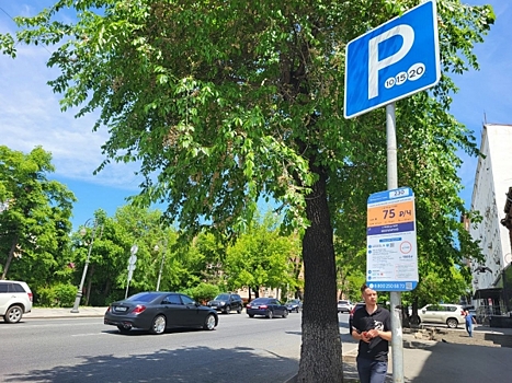 Платные парковки Владивостока заполнены почти на 100 %: будут ли повышать цены