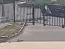В Воронеже на видео попало, как малолетний ребенок отлетел от удара авто